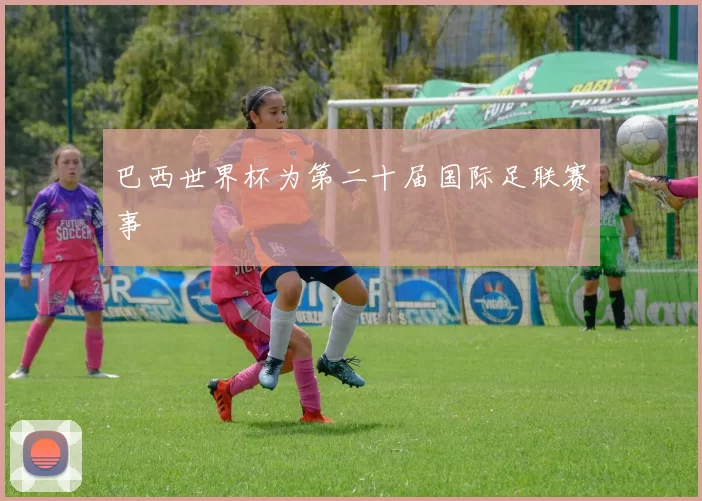 巴西世界杯为第二十届国际足联赛事