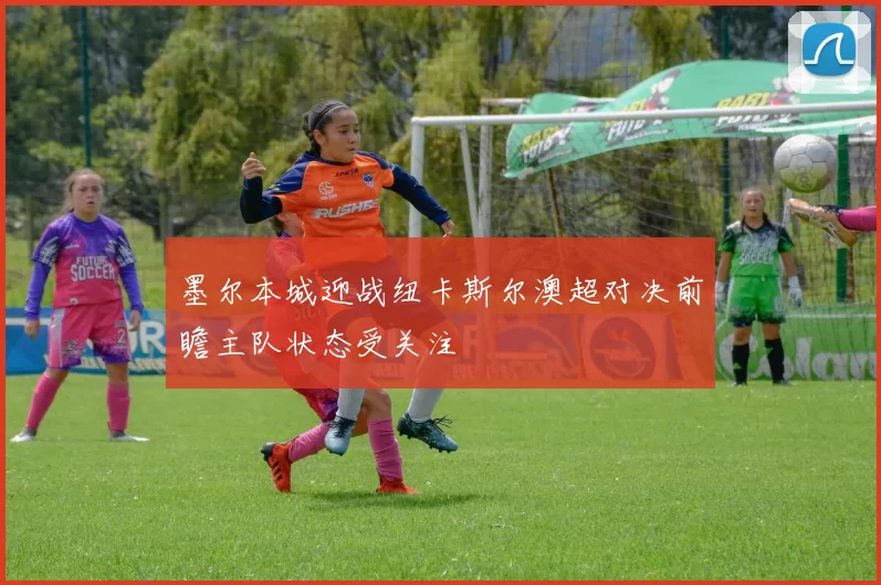 墨尔本城迎战纽卡斯尔澳超对决前瞻主队状态受关注