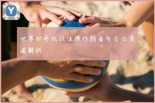 世界杯手机投注操作指南与合法渠道解析